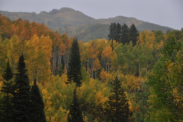 on Keebler Pass